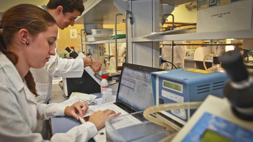 Alumnos realizando prácticas en un laboratorio del centro.