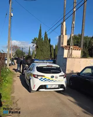 Controles policiales en una fiesta ilegal en la carretera de Sóller