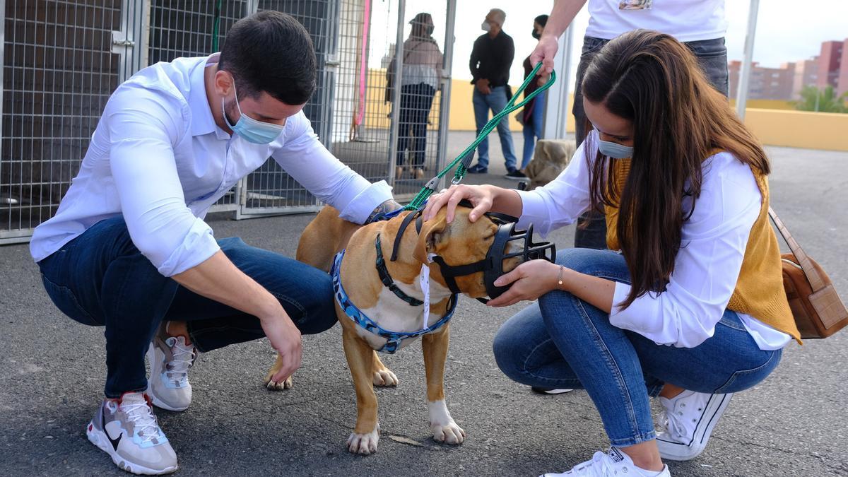 El pequeño Pin Pon encontró familia de adopción en la Feria de Animales de  INFECAR