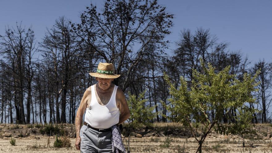 La vida un año después del incendio de Bejís