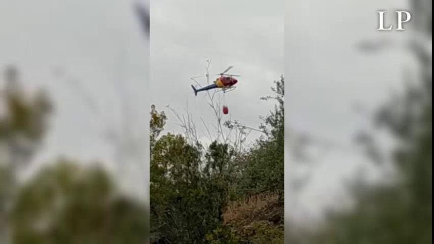 Conato de incendio en Teror