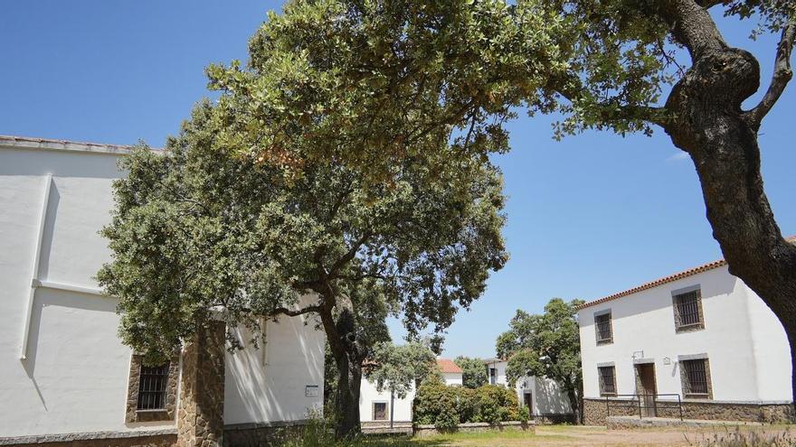 Escápate a la naturaleza y conecta con la esencia de la dehesa en el Parque San Martín de Añora