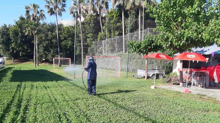 Benirredrà intensifica la lucha contra el mosquito tigre