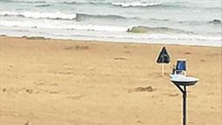 Hallan un flamenco en la playa de Alcossebre