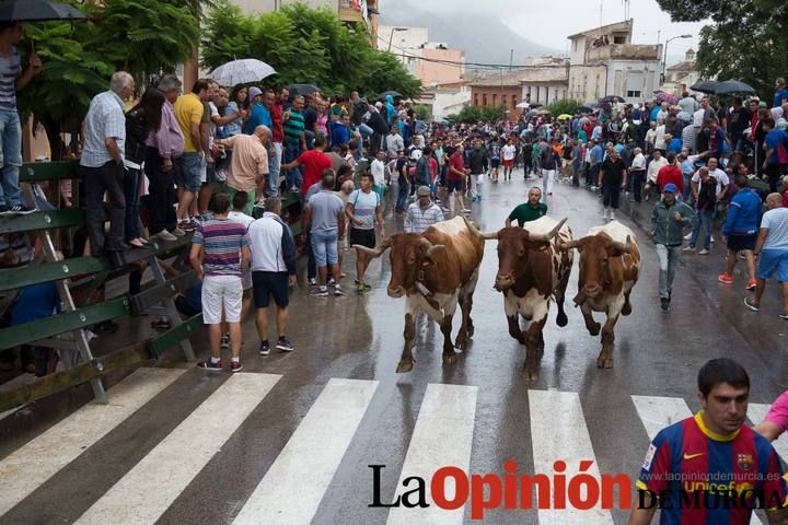 Cuarto encierro Feria del Arroz 2015, Calasparra