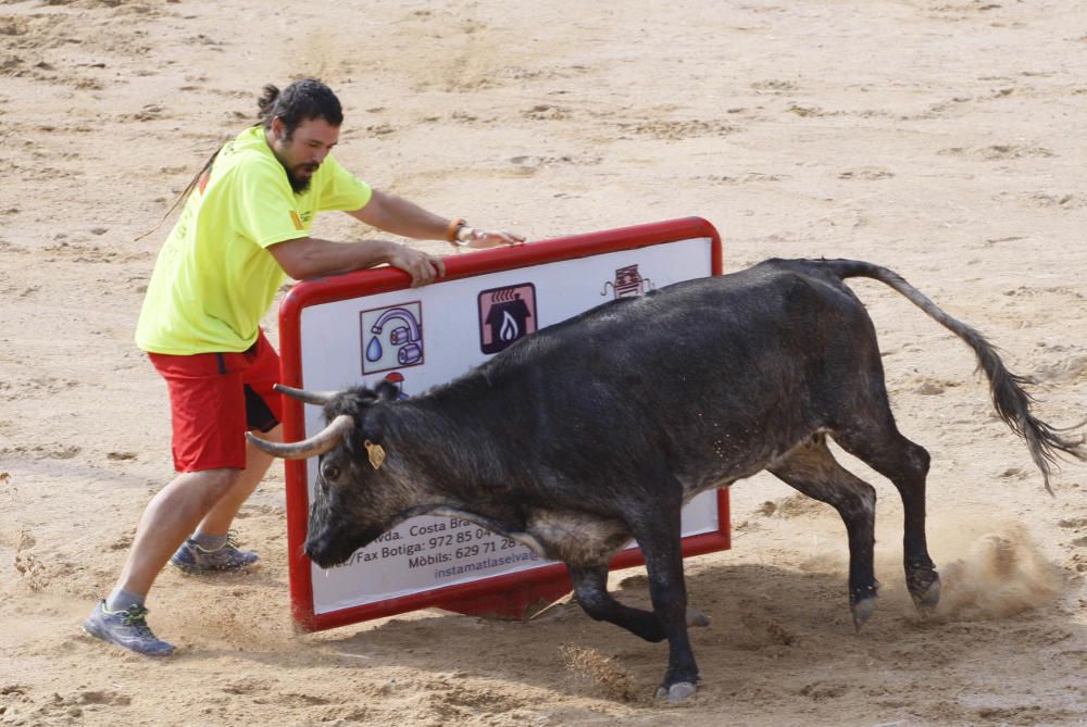 Correbou de Vidreres