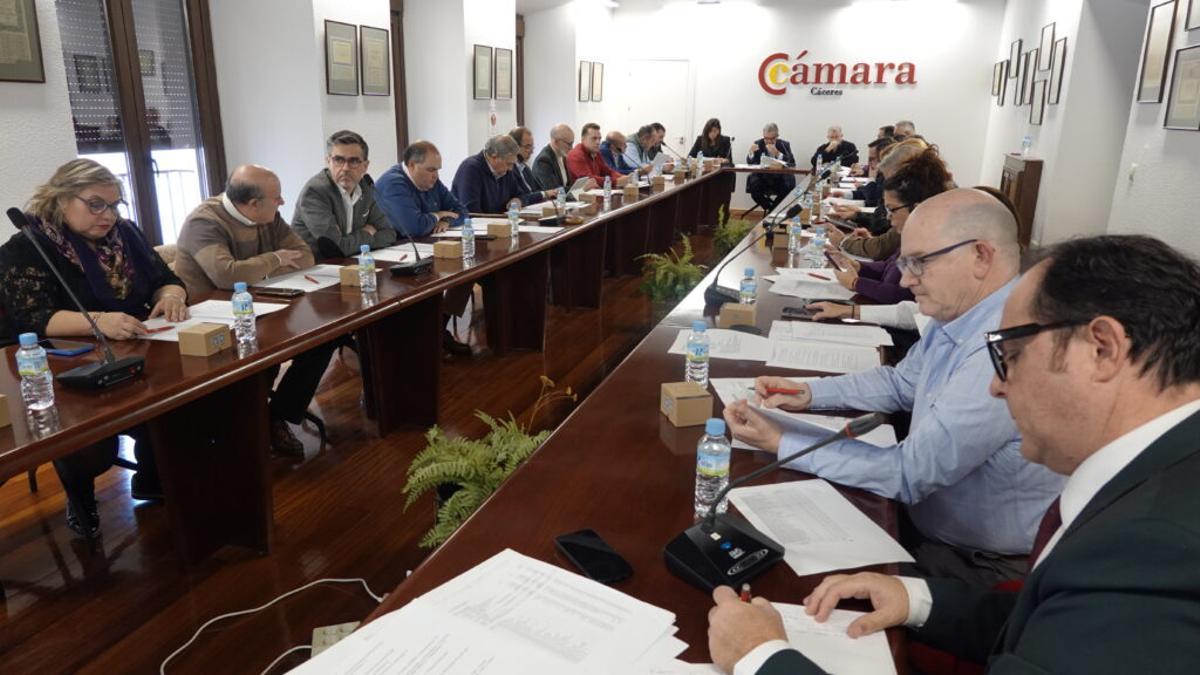 Pleno de la Cámara de Comercio de Cáceres.