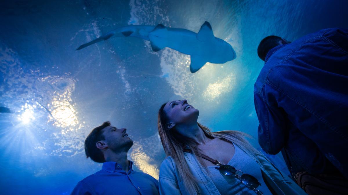 Dos visitantes en el Oceanogràfic.