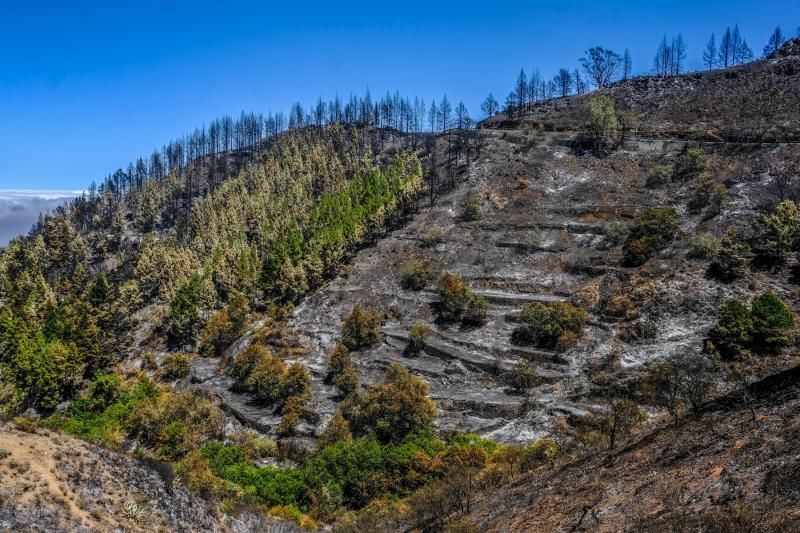 Consecuencias del incendio: De Valleseco a Artenar