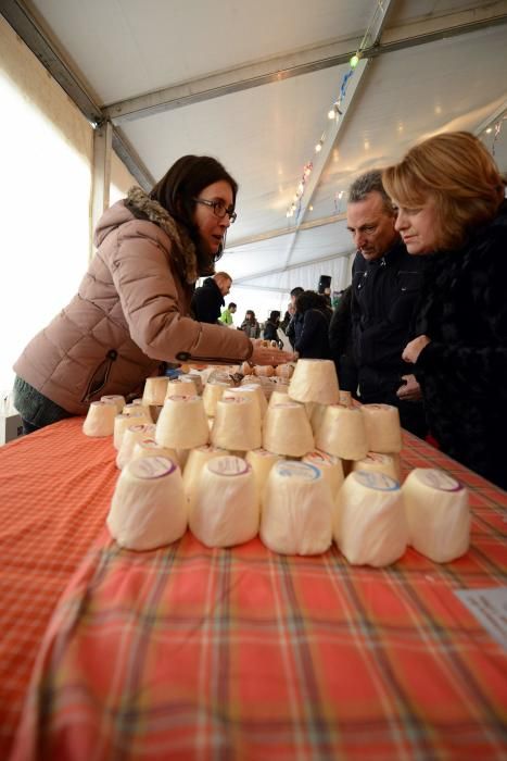 XXVII Certamen de Queso de Afuega'l Pitu en Morcín