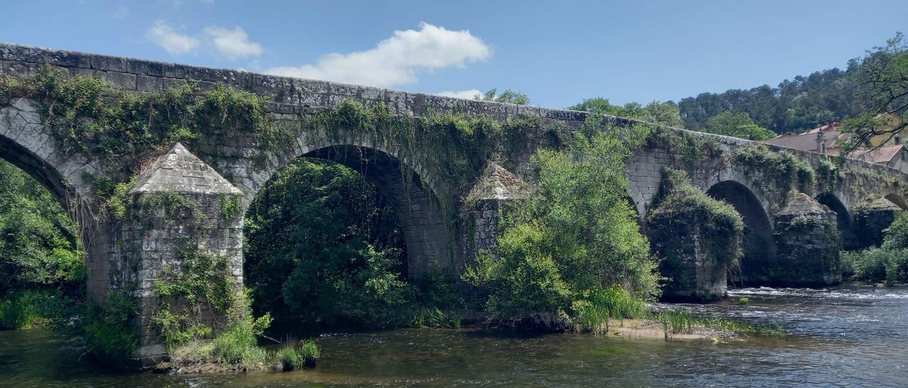 As malas herbas medran entre os sillares da ponte de Ledesma.