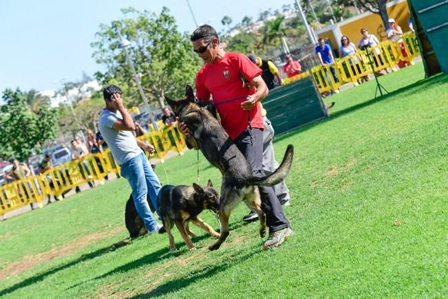 10/12/2016 MASPALOMAS. Feria de Mascotas Maspalomas 2016.Foto: SABRINA CEBALLOS