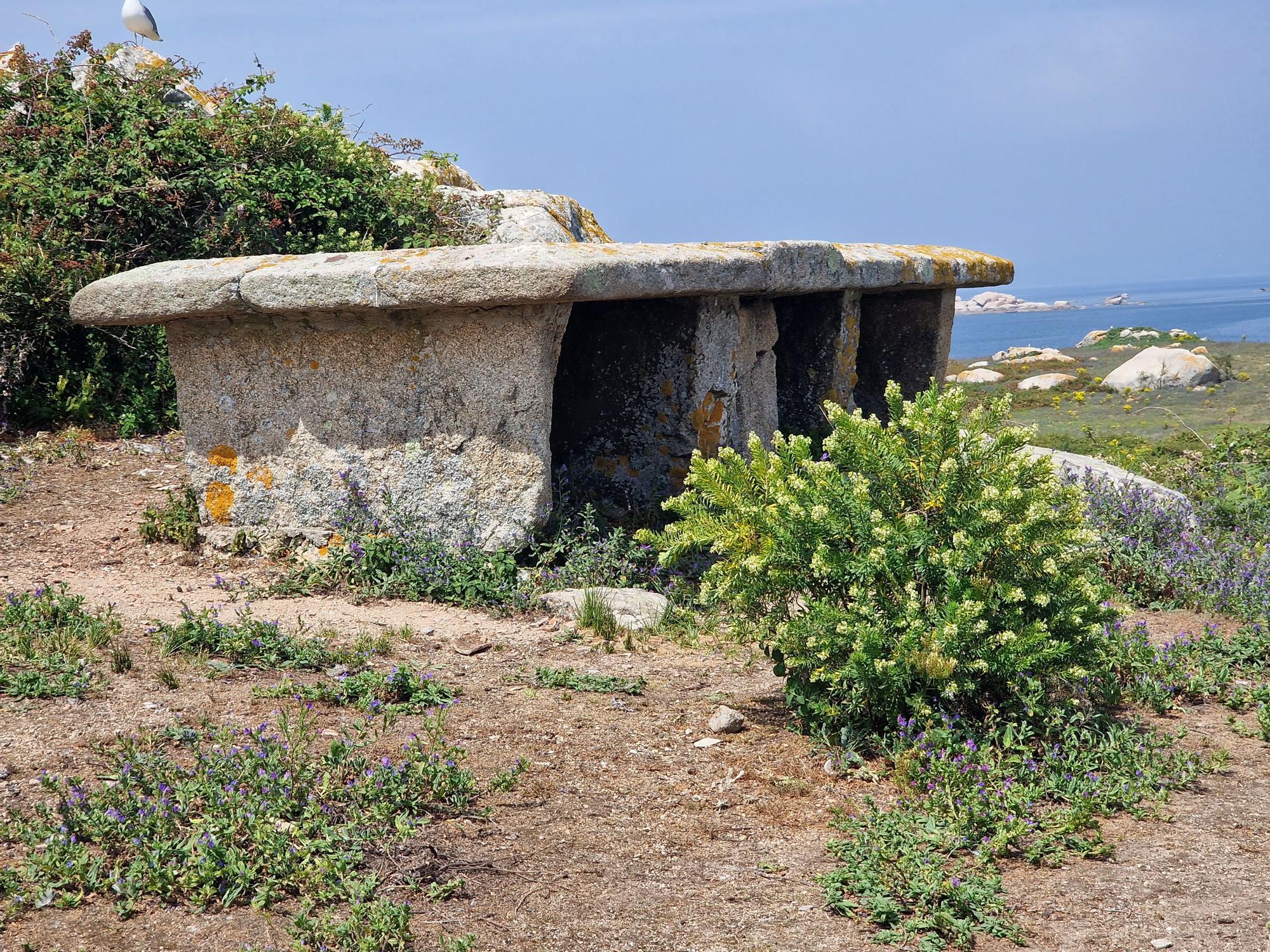 De visita en las Islas Atlánticas de Galicia a bordo del aula flotante "Chasula".