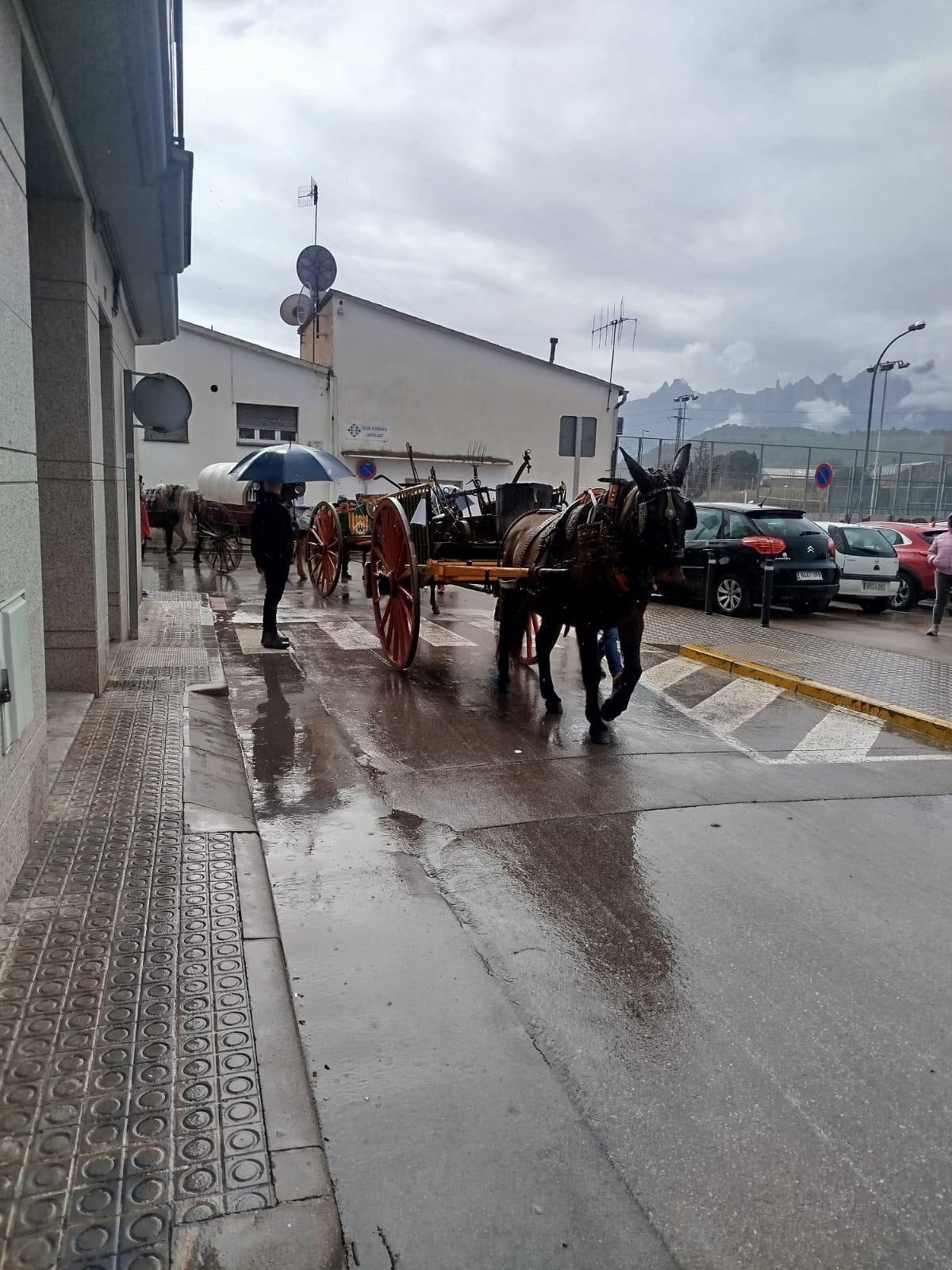 Festa de Sant Antoni de Sant Vicenç de Castellet