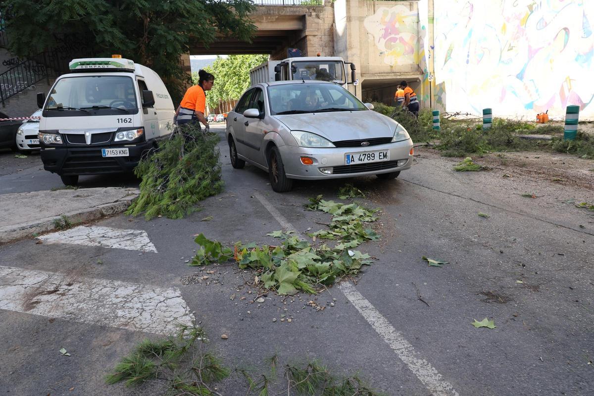 Imágenes del día después en Alcoy tras el temporal