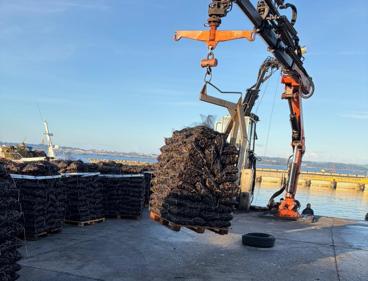 Las descargas de ayer.