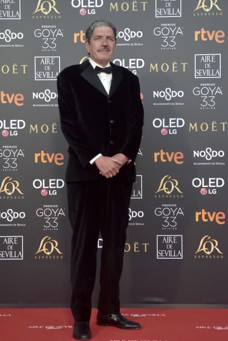 Premios Goya 2019