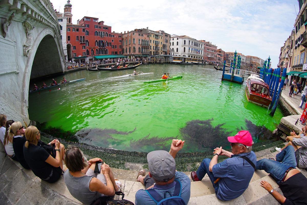 Alerta en Venecia: el agua del Gran Canal se tiñe de verde