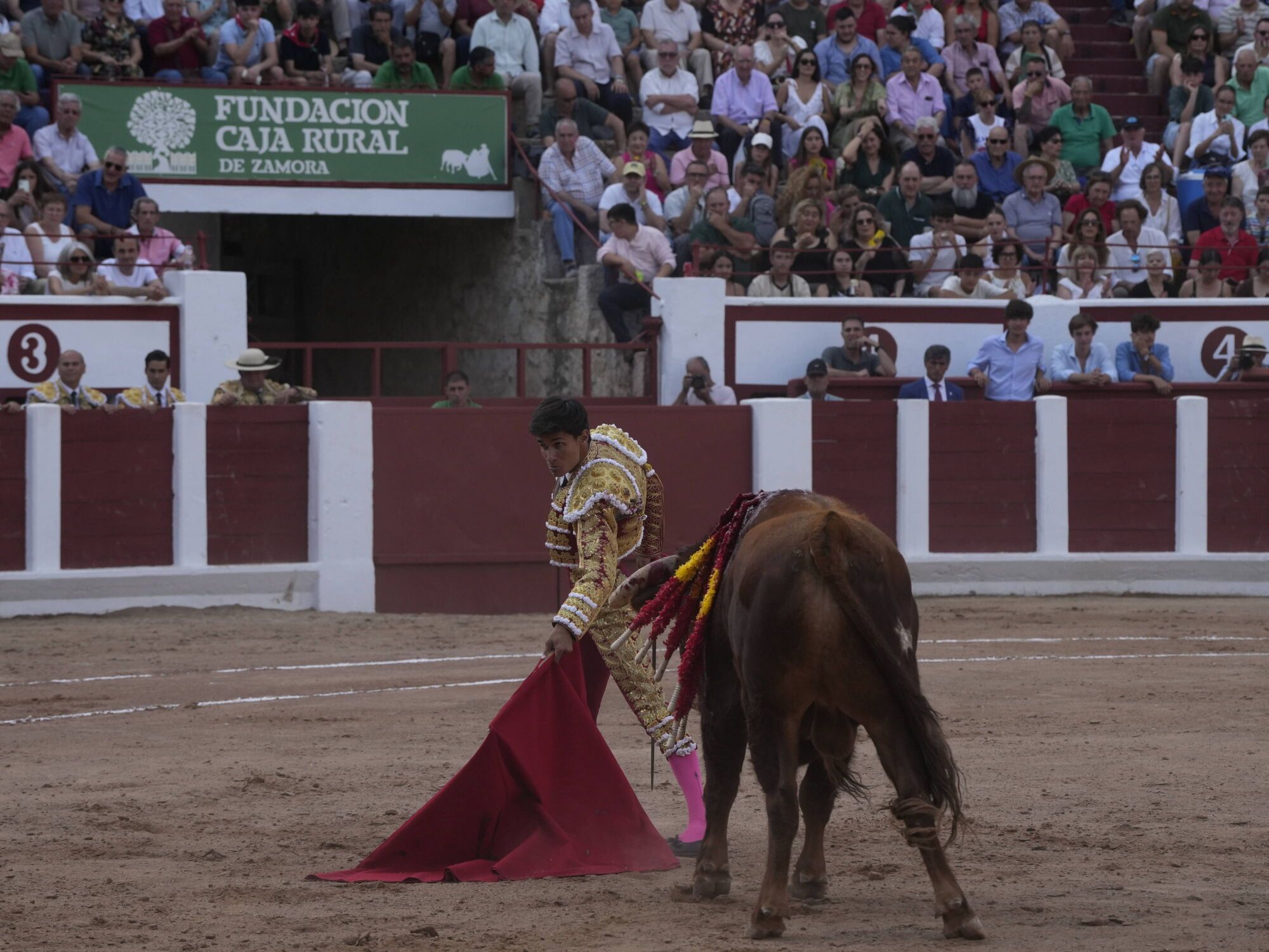 Las mejores imágenes de la feria taurina de San Pedro en Zamora.