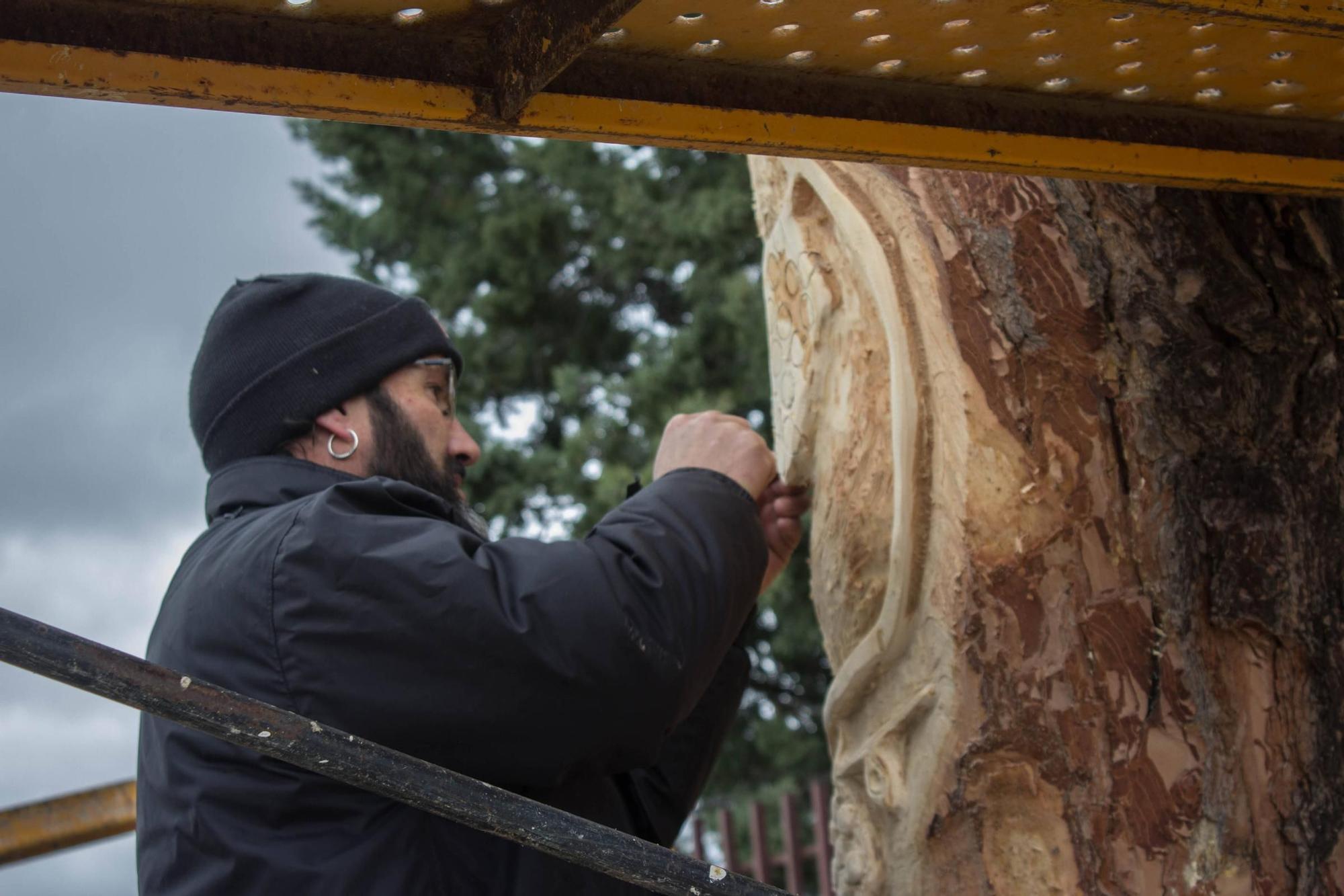 GALERÍA | El árbol de Moraleja que se convirtió en estatua