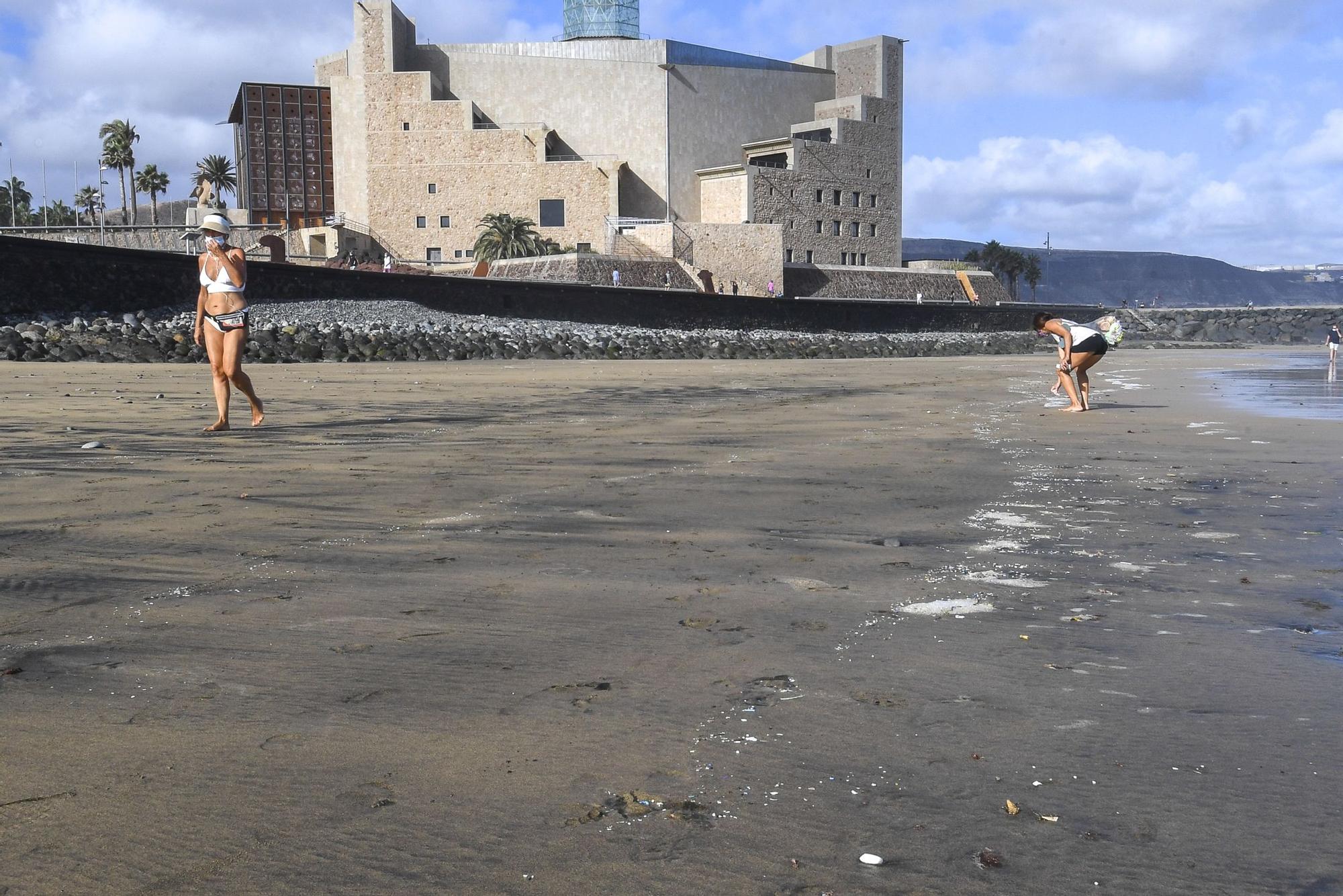 Microplásticos en Las Canteras