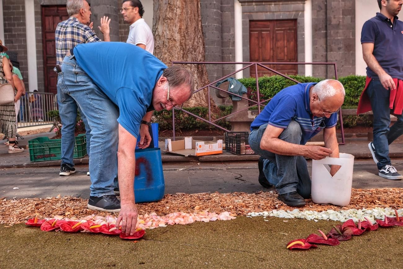 Alfombras del Corpus Christi en La Laguna