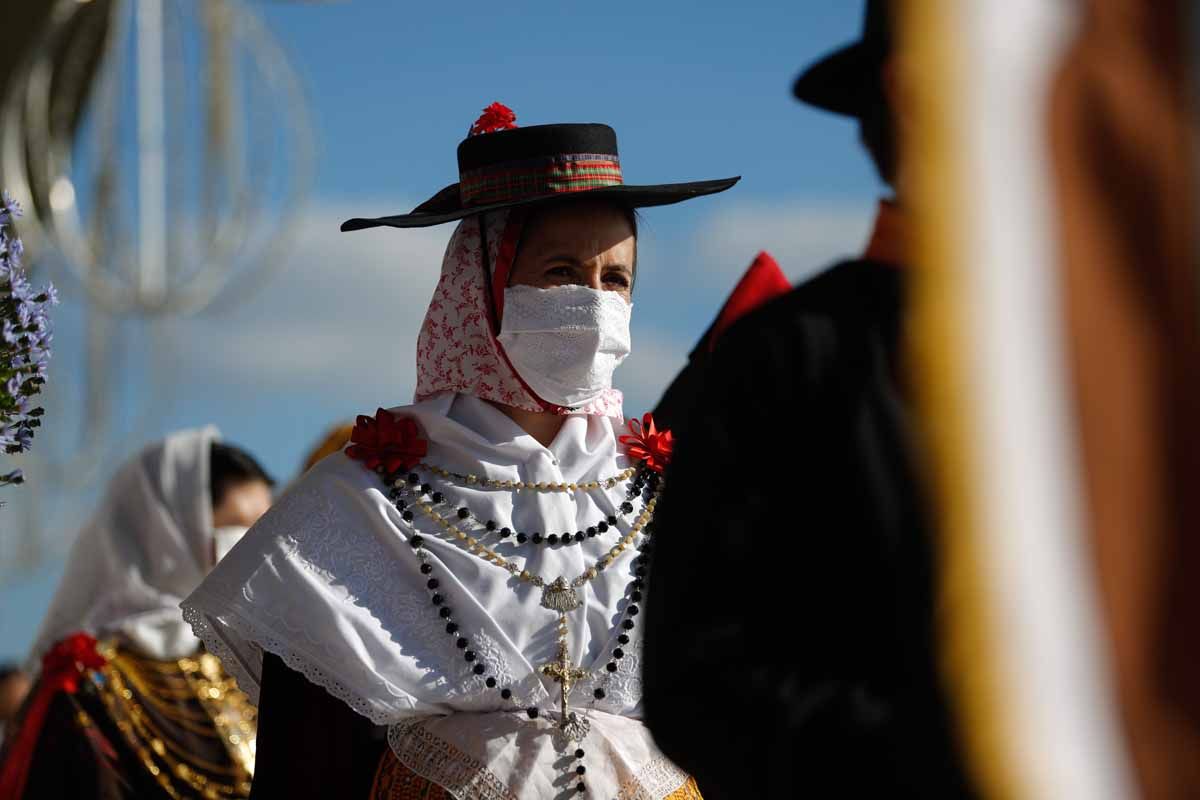 Bendición de animales en Sant Antoni