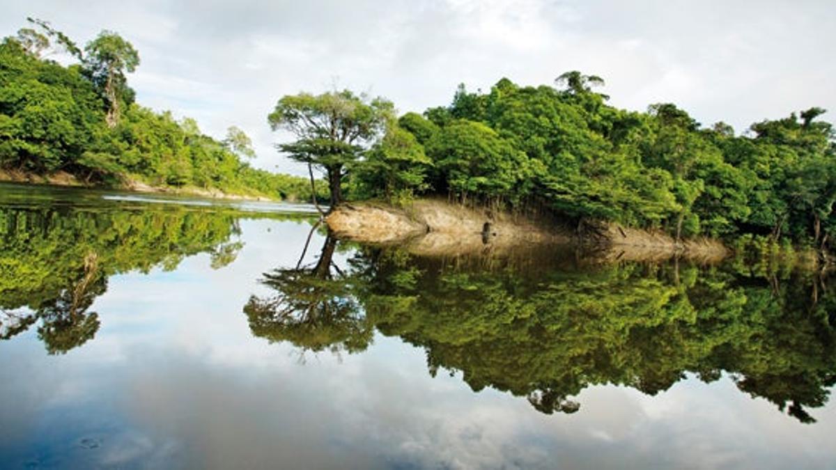 Amazonas, crucero por el gran río