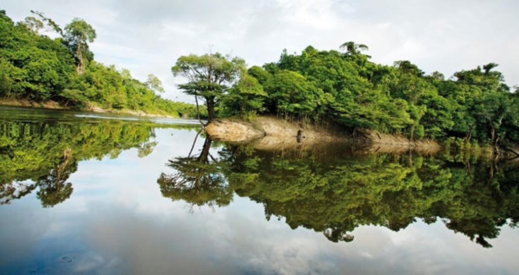 Amazonas, crucero por el gran río
