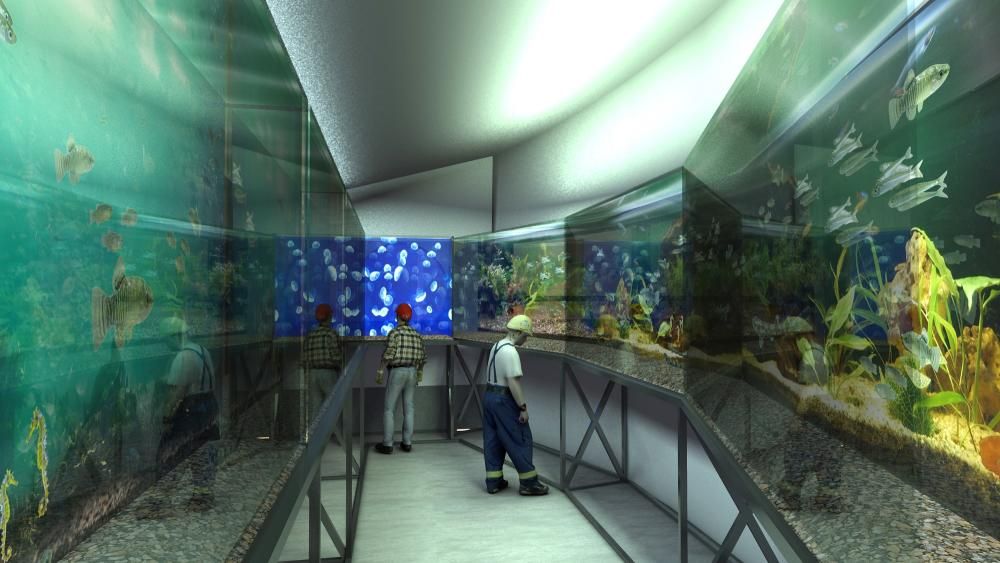 El nuevo acuario de la Plaza Nueva tendrá seis cubas con especies del Mediterráneo
