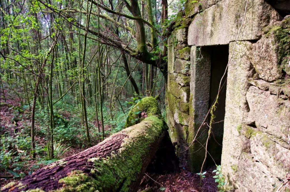 El Muíño de Salgueira es un punto destacado de esta ruta de senderismo por las orillas del Tambre