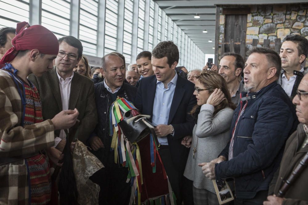 Visita de Pablo Casado a la Feria Raíces