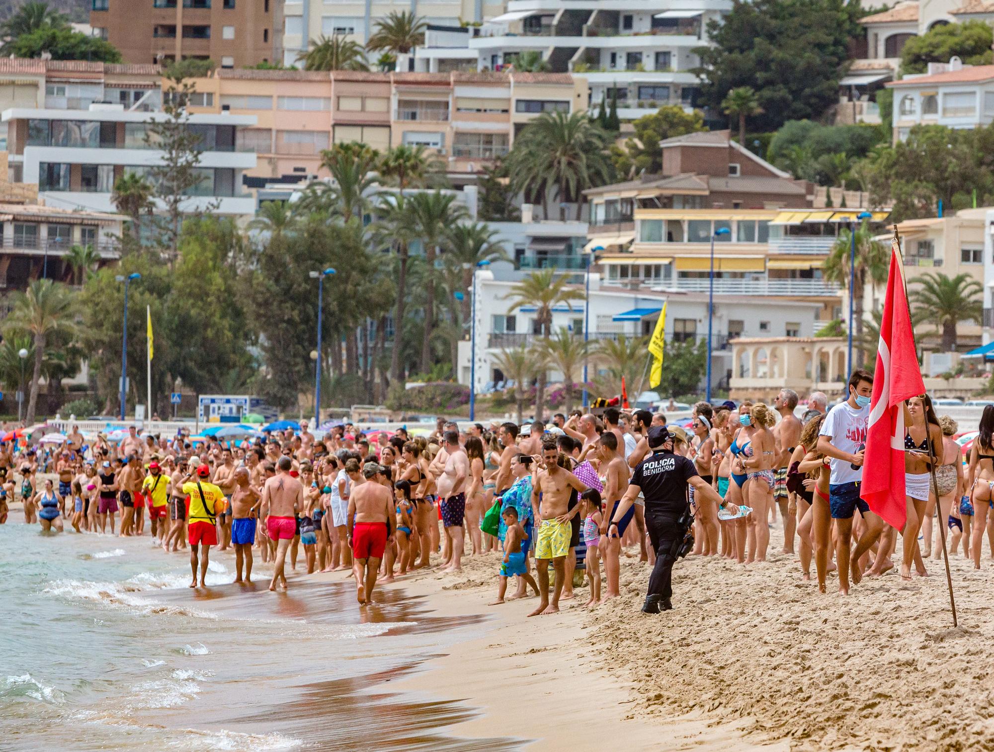 Aparece una tintorera de dos metros en Benidorm