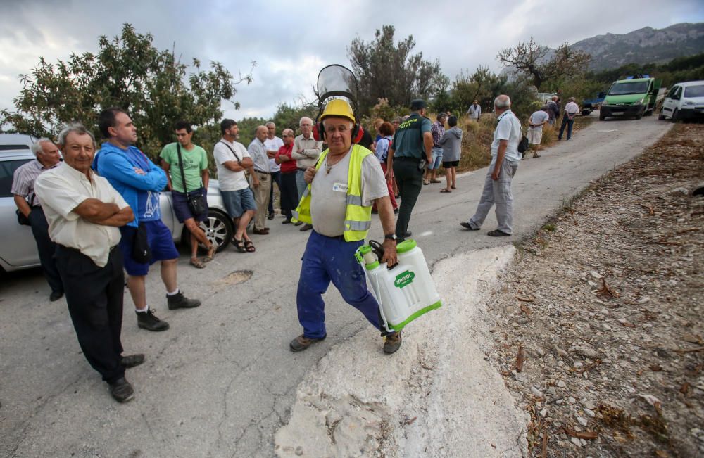 Agricultores y vecinos logran parar las máquinas que iban a triturar otra parcela afectada por la Xylella