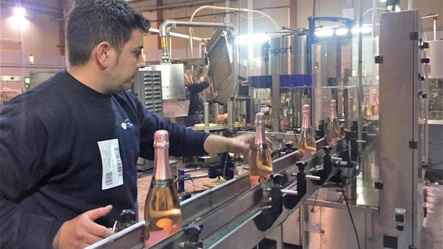 Los productores de cava extremeño tildan la limitación del viñedo de &quot;golpe para la región&quot;