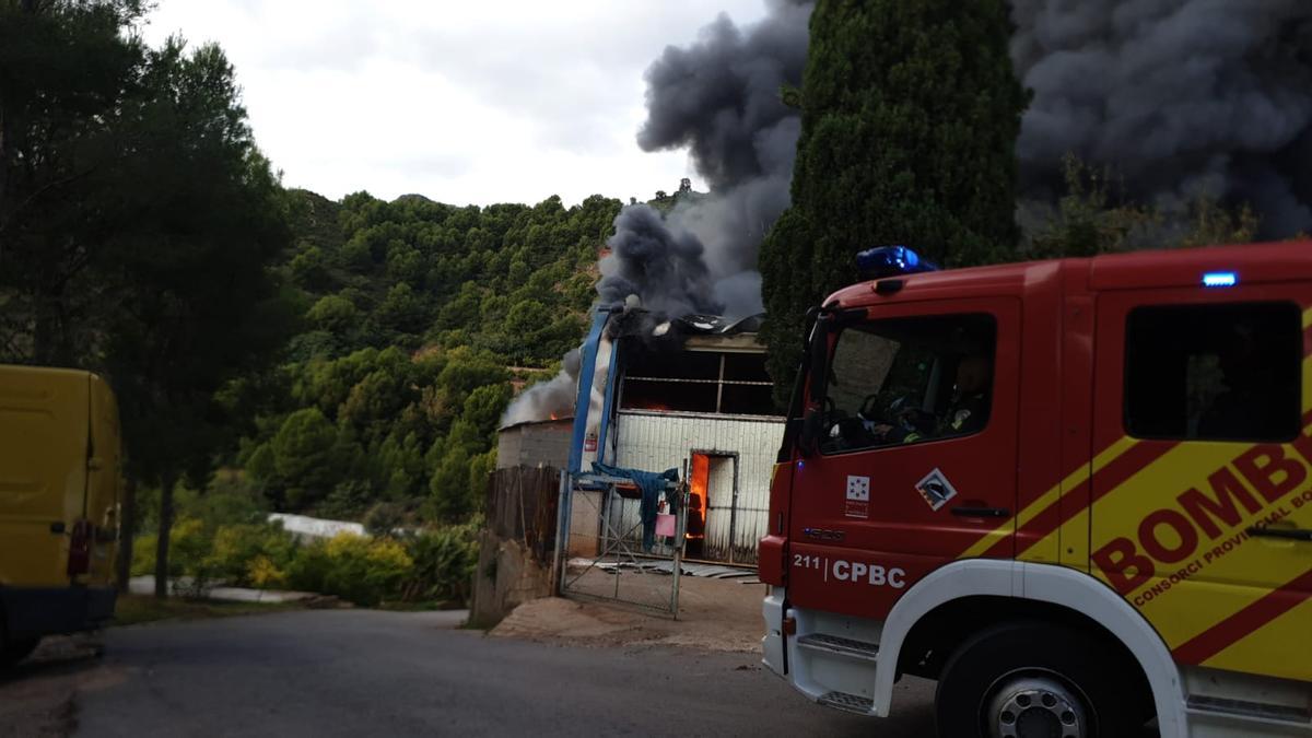 El fuego ha afectado a una nave del invernadero