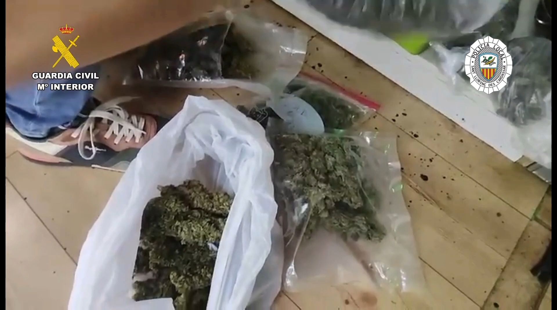 Desmantelan una asociación cannábica en Cala Millor por tráfico de drogas