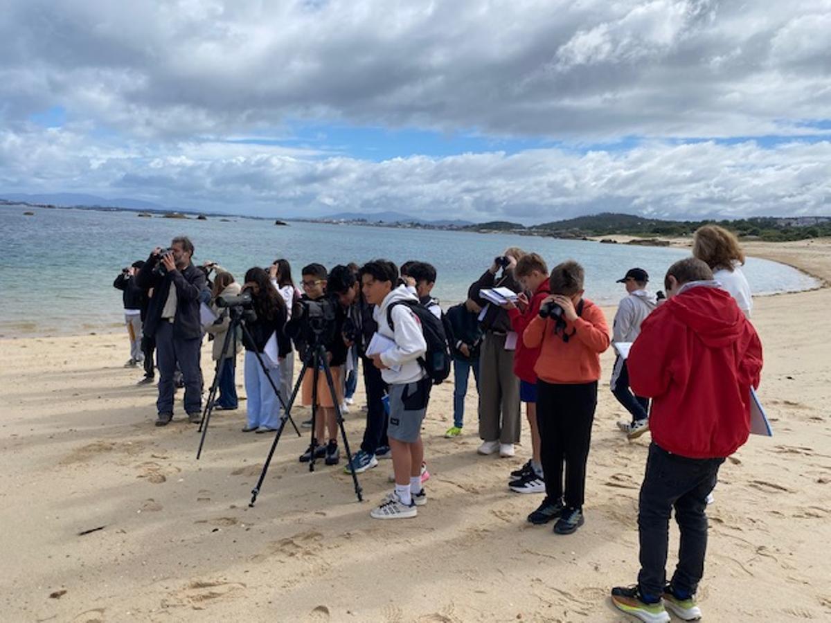 La clase práctica ofrecida en la playa.