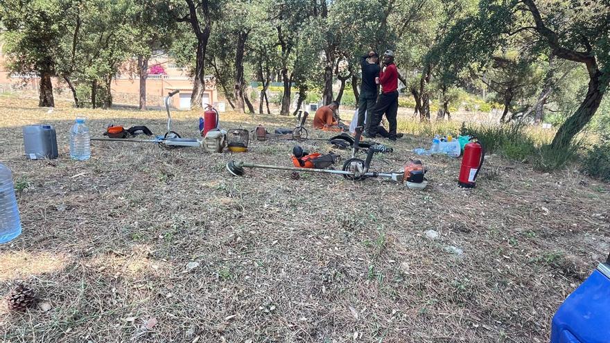 Denuncien una empresa per fer feines de neteja forestal a Platja d&#039;Aro tot i les restriccions del Pla Infocat