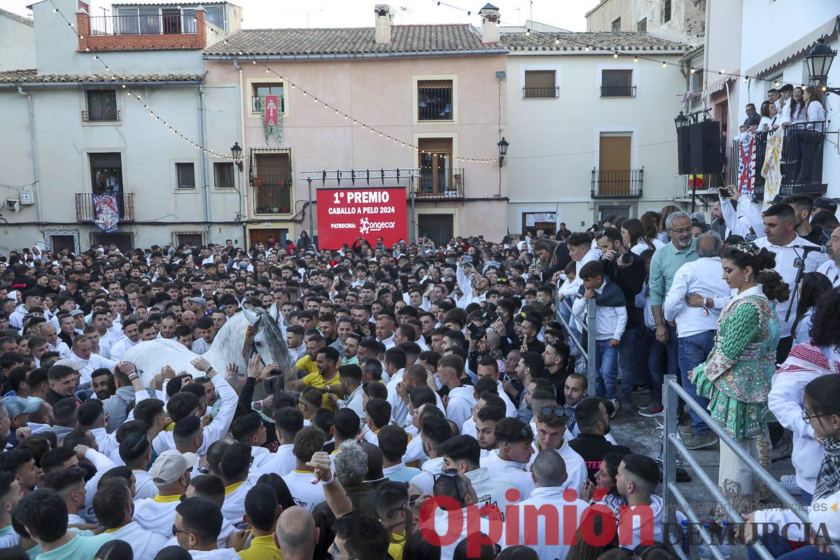 Entrega de premios del concurso de 'Caballo a pelo' en Caravaca