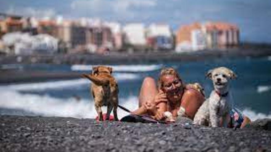 Playa del Puertito de Gúímar, la única habilitada en la Isla junto a la del El Confital, en Granadilla, donde se permite el baño de perros