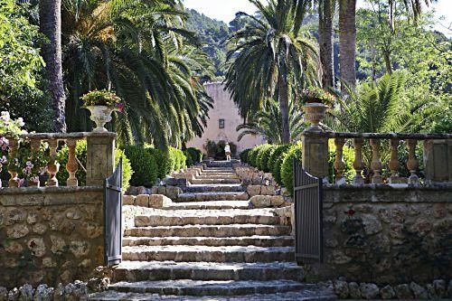 Die Kunsthistorikerin Júlia Ramon erklärt auf einem Rundgang durch die Jardins d’Alfàbia, aus welcher Zeit die Allee, die Wasserspiele und die Bäume stammen