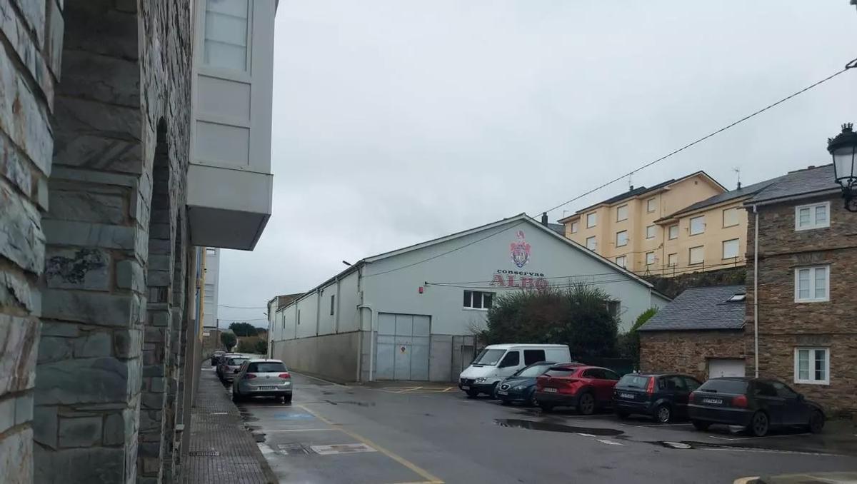 La planta de Albo en Tapia de Casariego