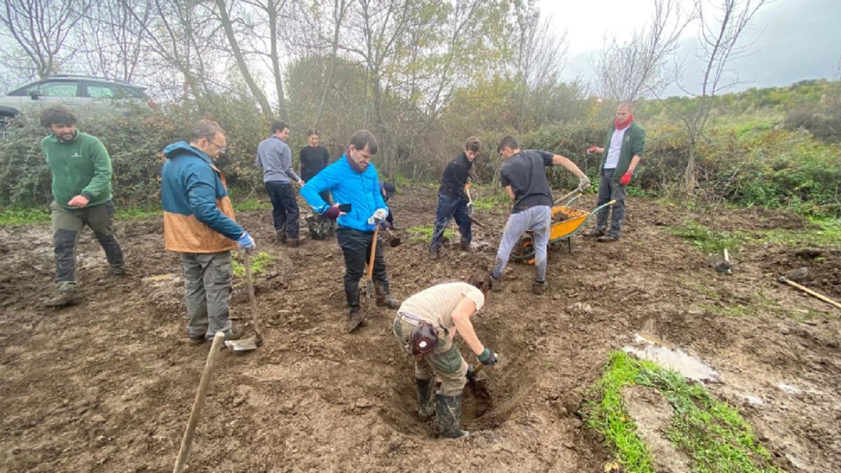 'Charqueando': movilización para salvar las ranas de España