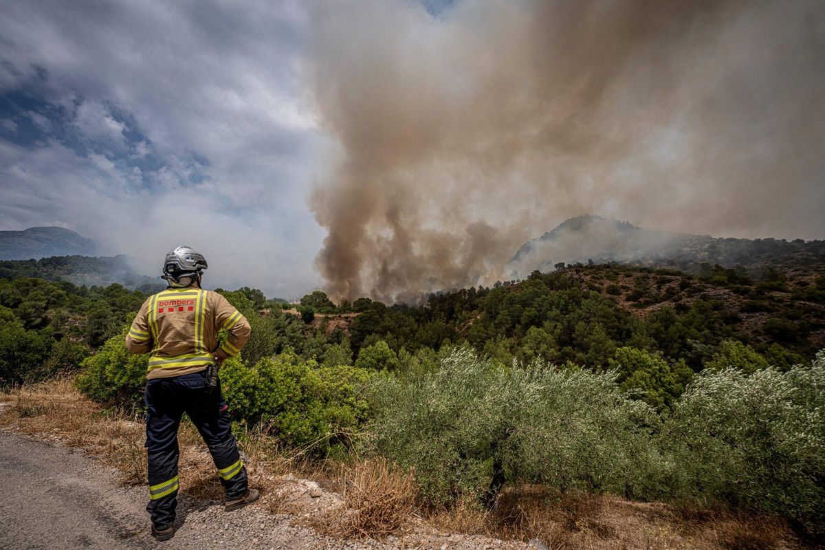 Dentro del incendio en Baix Ebre: los bomberos trabajan a contra reloj en el incendio forestal en Paüls