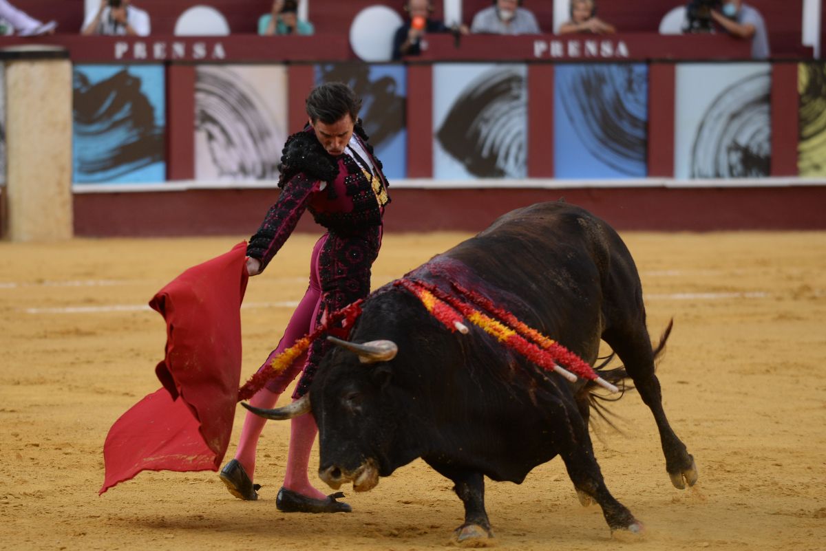 Los toros vuelven a La Malagueta
