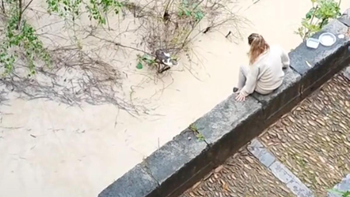 Captura del vídeo que se ha viralizado en TikTok