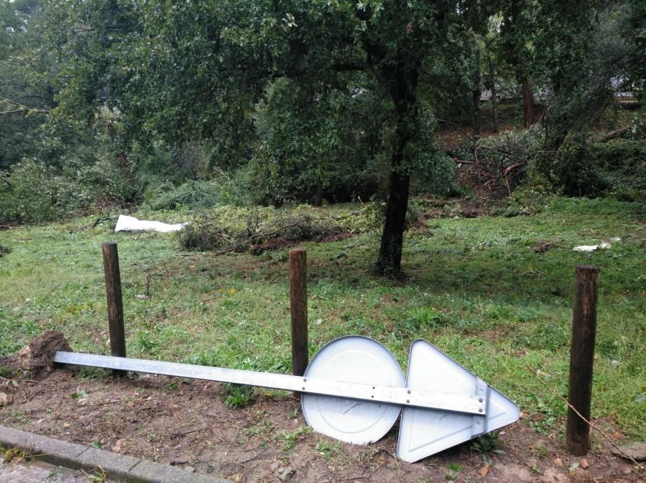 Destrosses a Riells i Viabrea per un possible cap de fibló