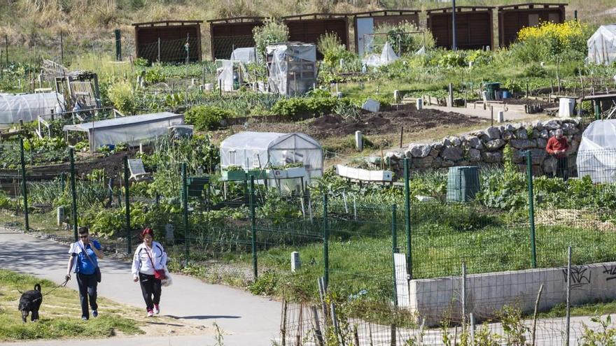 Oviedo abre el lunes el plazo para solicitar huertos sostenibles en La Corredoria