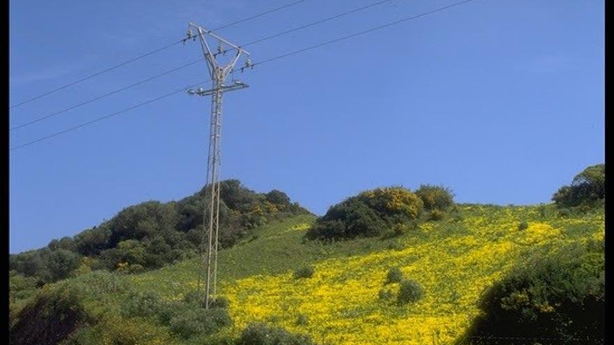 La demanda eléctrica aumenta en Baleares un 27,4% en junio
